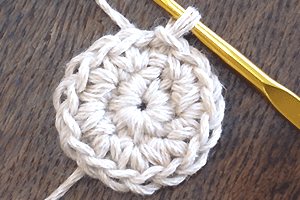 こま編み2目編み入れる：完成イメージ